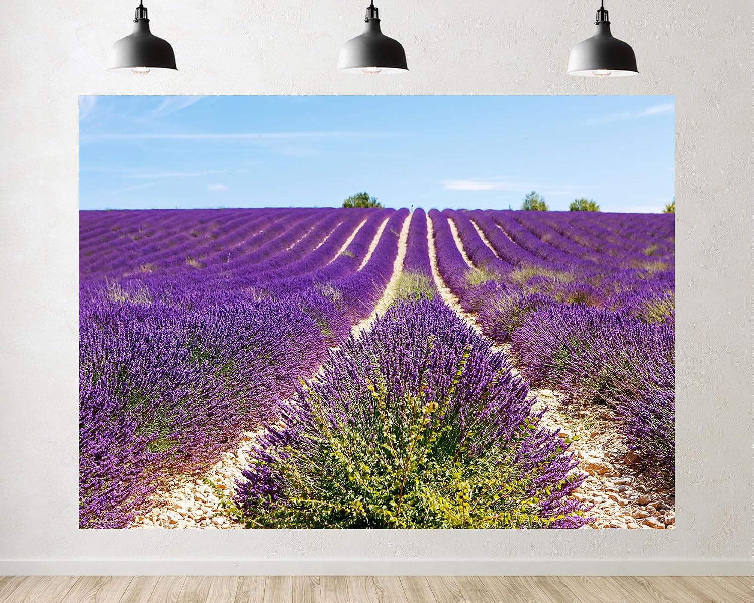 Trykid 20x10ft Lavender Field Backdrop Rows of Purple Blooms Gravel Paths Clear Blue Sky Photography Background Provence Style Festival Event Party Decoration Photo Booth Prop Fabric