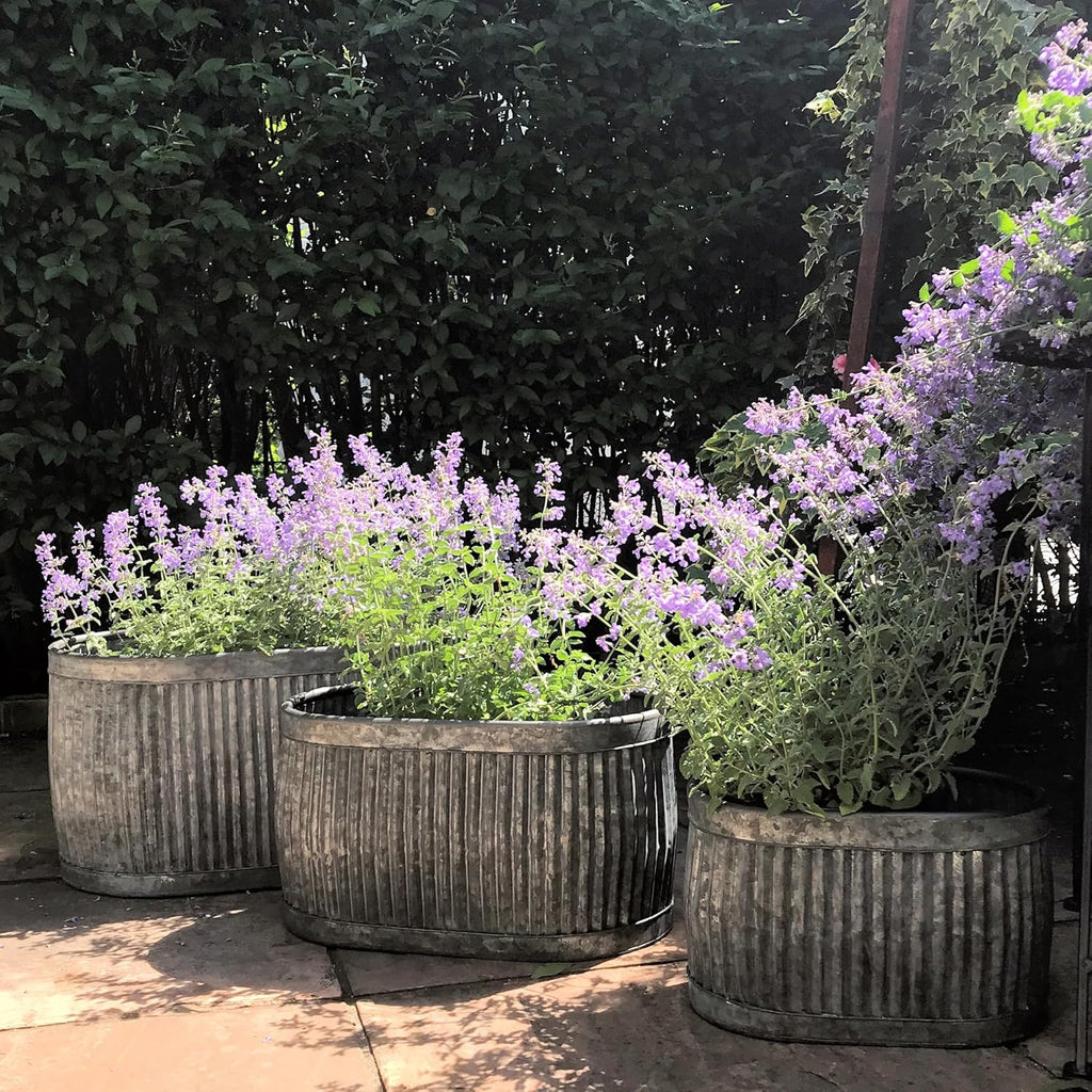 WHW Whole House Worlds French Country Style Oval Belly Planters, Set of 3, Galvanized Metal, Chubby, Corrugated Cache Pots, Rustic, Over 2 Ft Long (24 1/2, 20 and 14 1/2 Inches)