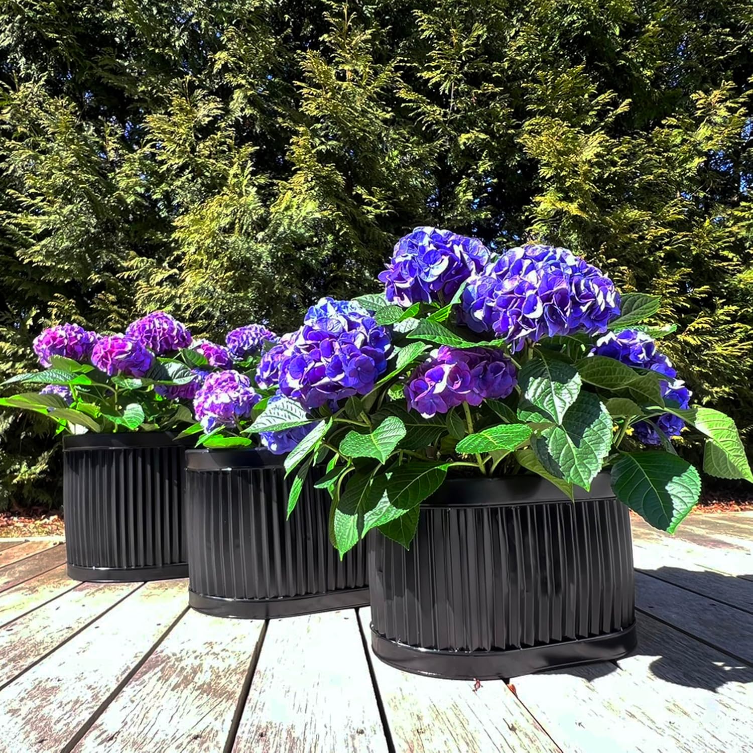 WHW Whole House Worlds French Country Style Oval Planters, Set of 3, Glossy Black, Galvanized Metal, Chubby Belly, Corrugated Cache Pots, Rustic, Over 2 FT, 24.5, 20 and 14.5 Inches