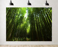Trykid 20x10ft Tall Green Bamboo Forest Backdrop Sunlit Path Zen Nature Photography Background Wellness Retreat Party Decoration Tapestry Photo Booth Prop Fabric