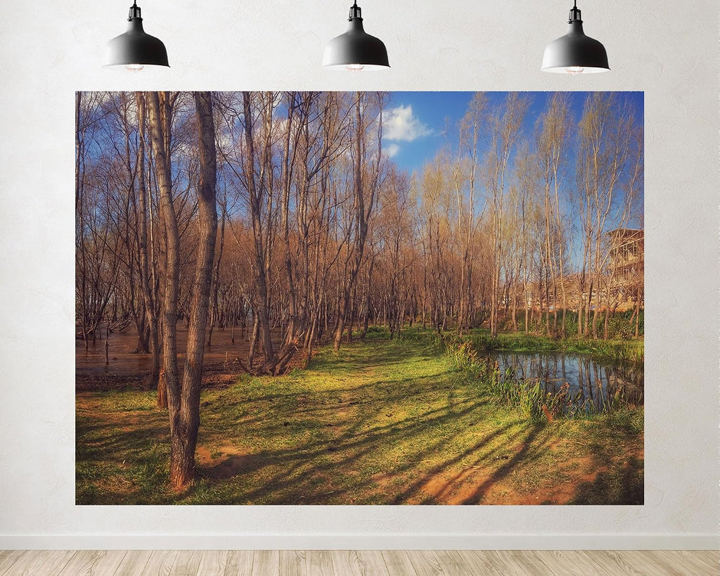Trykid 20x10ft Forest Stream Grass Lawn Backdrop Slender Tree Sunlit Meadow Clear Lake Shade Wetland Scenery Photography Background Outdoor Theme Party Decoration Photo Booth Prop Fabric