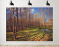 Trykid 20x10ft Forest Stream Grass Lawn Backdrop Slender Tree Sunlit Meadow Clear Lake Shade Wetland Scenery Photography Background Outdoor Theme Party Decoration Photo Booth Prop Fabric