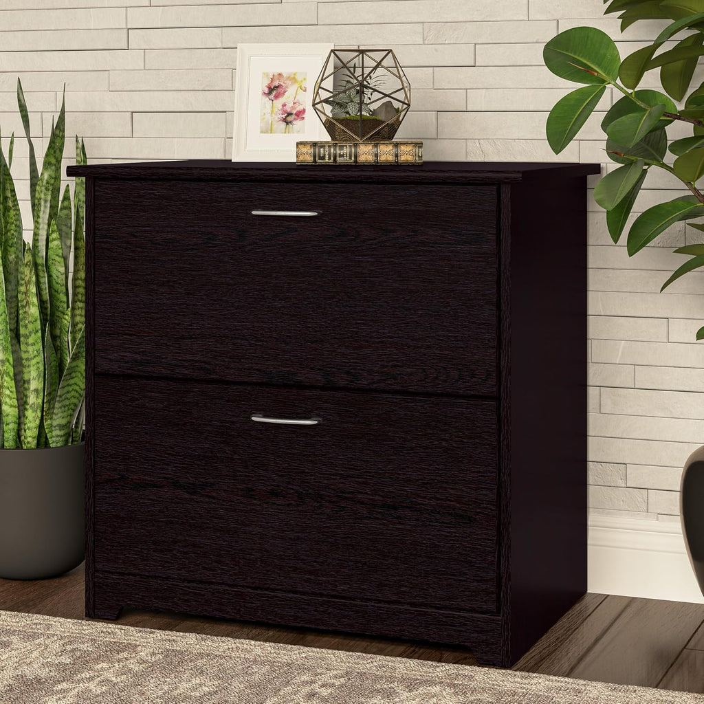 Bush Home Cabot 2 Drawer Lateral File Cabinet in Espresso Oak, Home Office Chest for Letter, Legal, and A4-size Document Storage