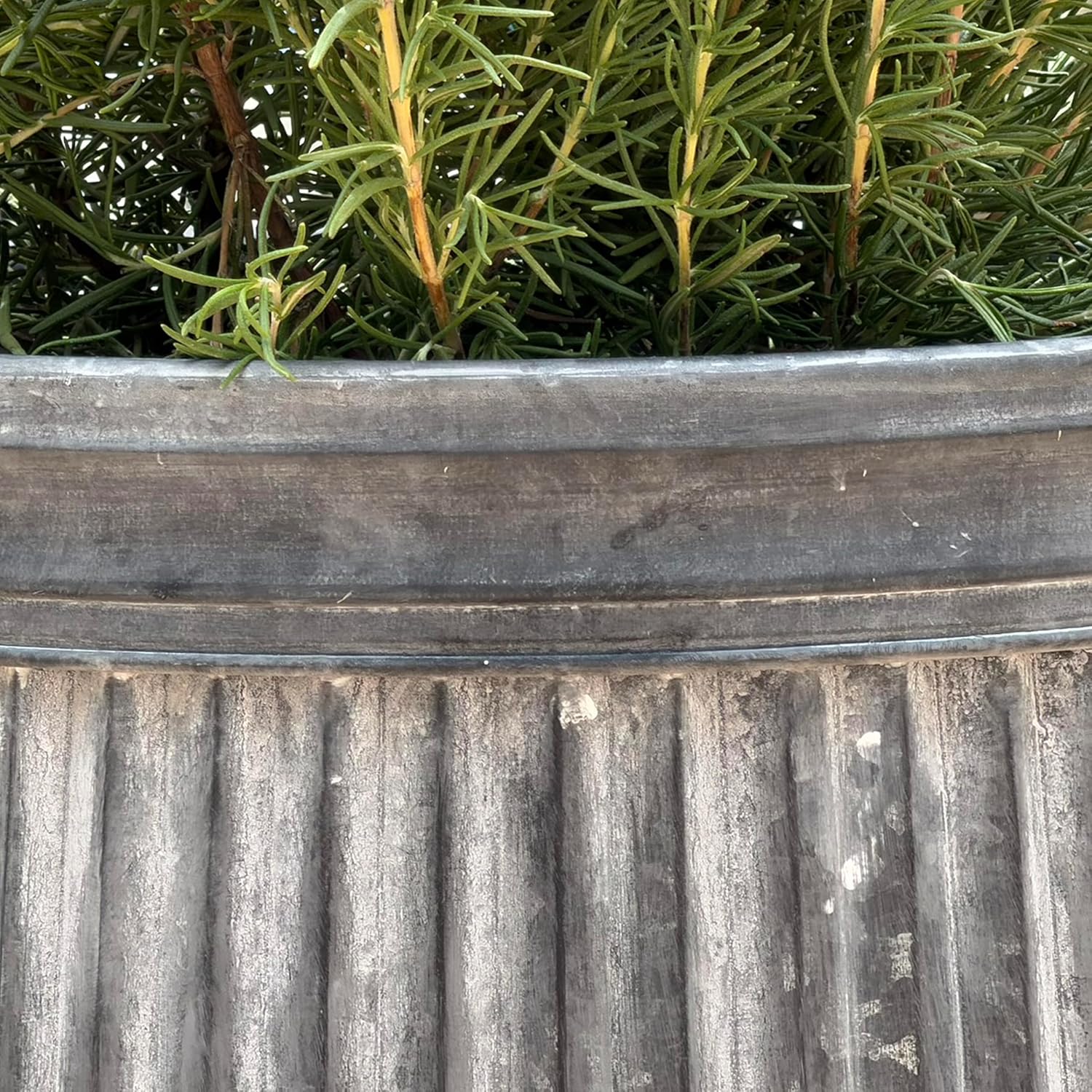 WHW Whole House Worlds French Country Style Tall Belly Bucket Pot Planters, Set of 3, Galvanized Metal, Vintage Grey, White Patina, Corrugated Cache Pots, Rustic, 22.5'