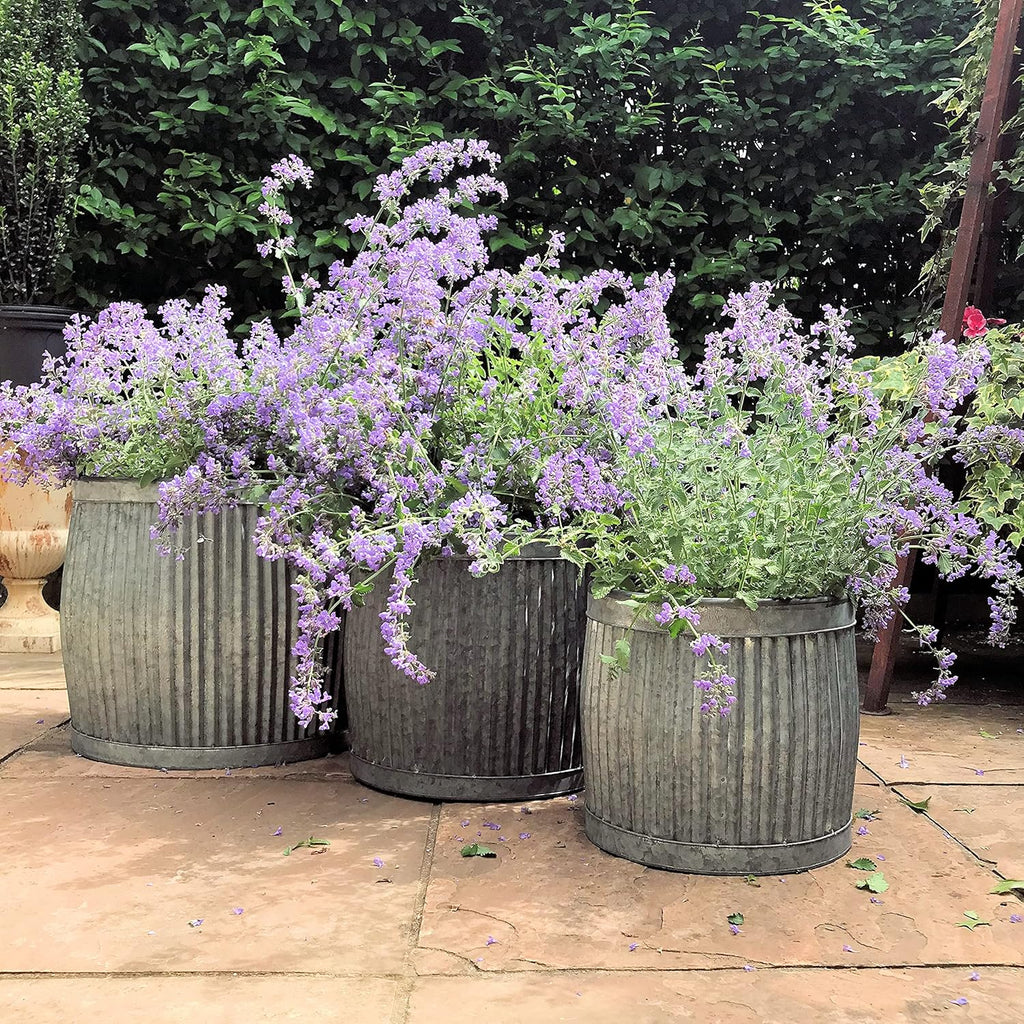 WHW Whole House Worlds French Country Style Belly Bucket Planters, Set of 3, Galvanized Metal, Corrugated Cache Pots, Rustic Wash Basin, from Over 1 Ft Diameter (17-12 Inches)