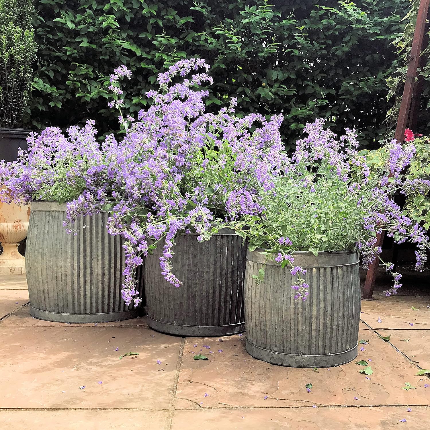 WHW Whole House Worlds French Country Style Belly Bucket Planters, Set of 3, Galvanized Metal, Corrugated Cache Pots, Rustic Wash Basin, from Over 1 Ft Diameter (17-12 Inches)